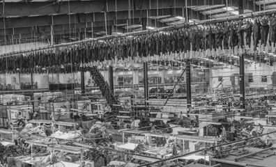 Çin Moda Endüstrisi Yeşil Devrimini Hızlandırıyor